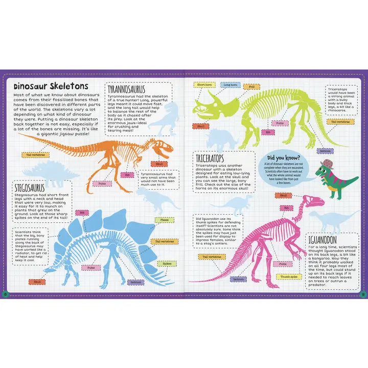 Dinosaur, Sticker Facts