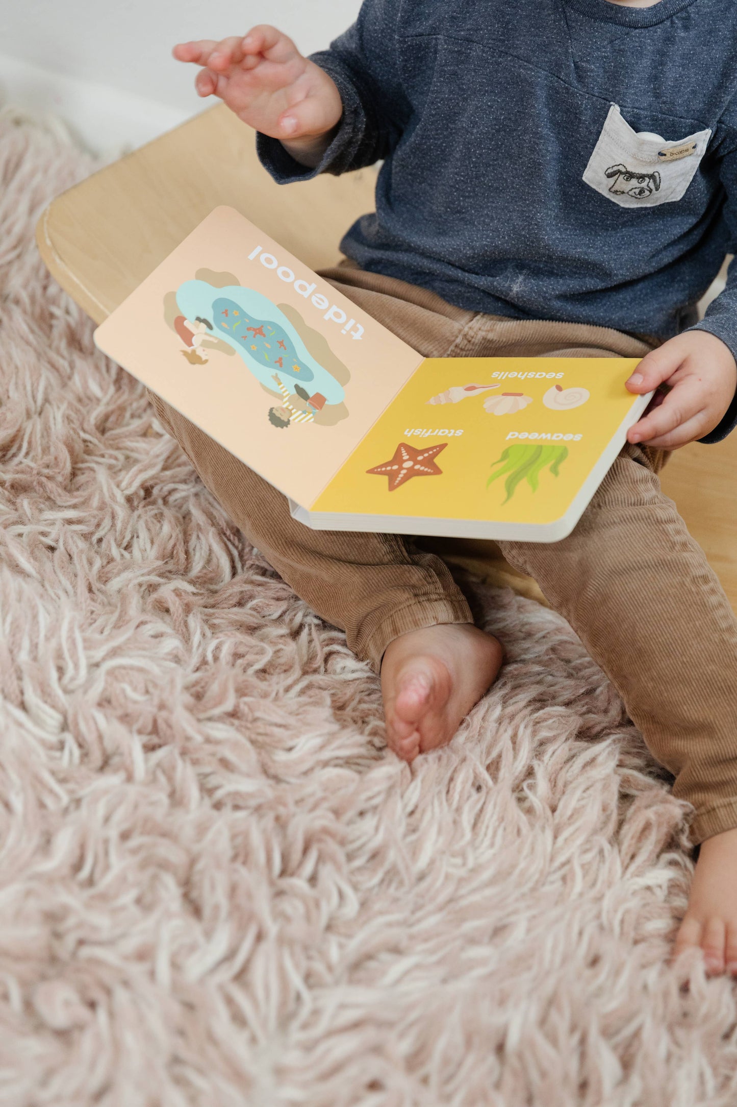 Beach Baby Book