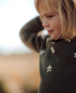 Daisy Embroidered Dress