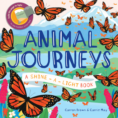 Shine-A-Light Animal Journeys