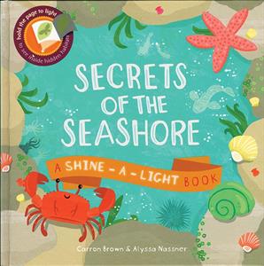Shine-A-Light, Secrets of the Seashore